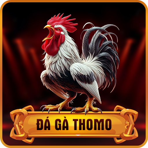 ĐÁ GÀ THOMO SV388