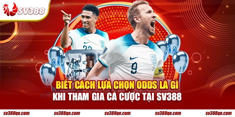 Biết cách lựa chọn odds là gì khi tham gia cá cược tại SV388